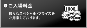 ご入場料金