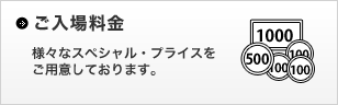 ご入場料金