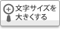 �����T�C�Y��傫������