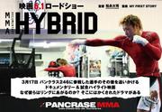 MMA �h�L�������^���[ HYBRID
