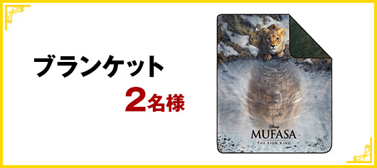 ブランケット 2名様