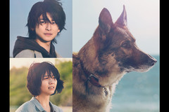 映画『少年と犬』