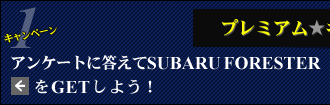 v~ALy[ AP[gɓSUBARU FORESTERGET悤I