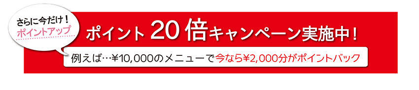 ɍI|CgAbv@|Cg20{Ly[{IႦ΁10,000̃j[ōȂ灏2,000|CgobN