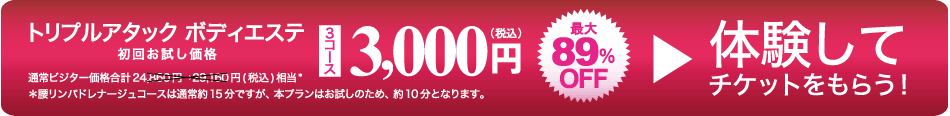 gvA^bN {fBGXe 3R[X3,000~̌ă`Pbg炤I